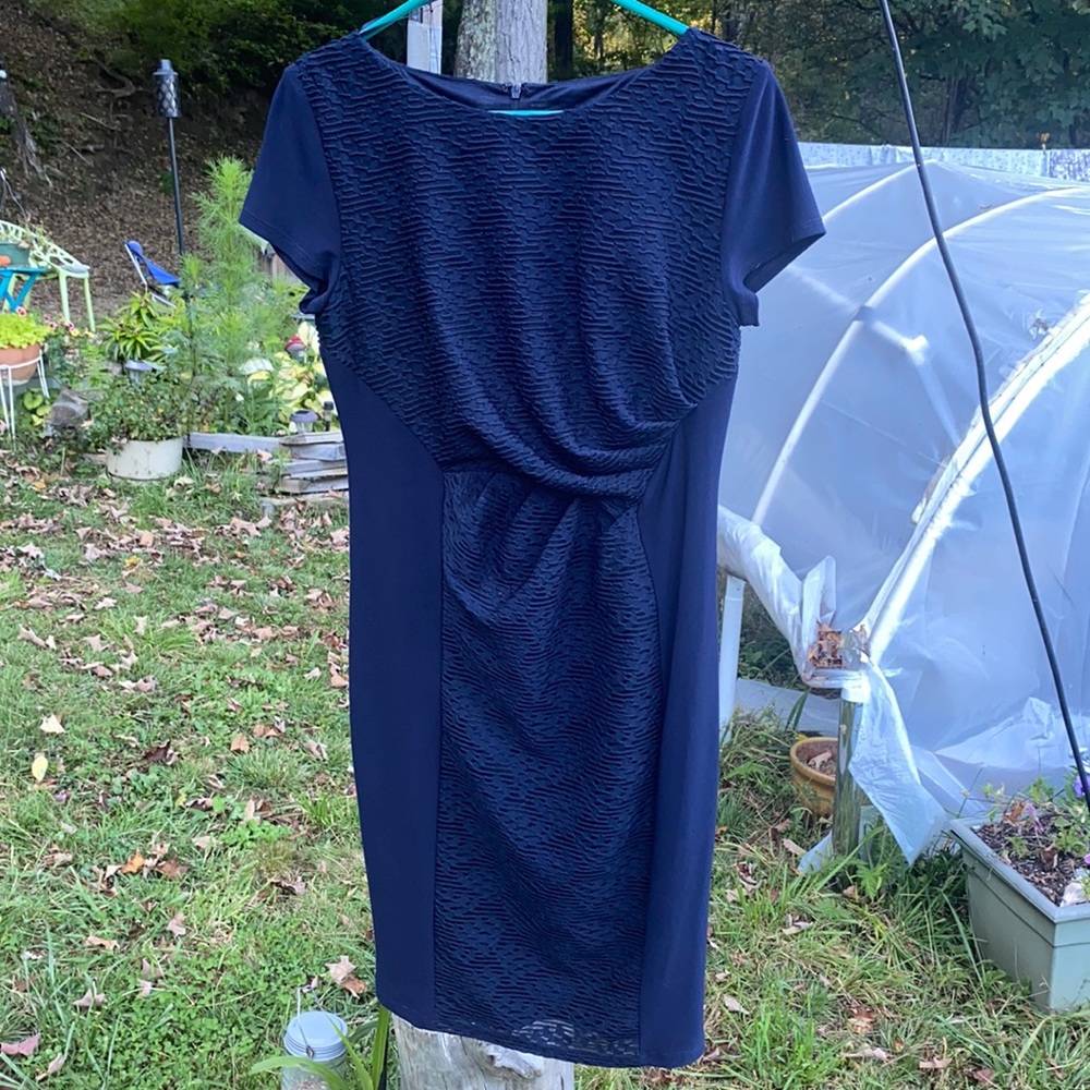 Phase Eight Navy Blue Paneled Dress